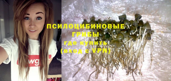 ешки Зерноград