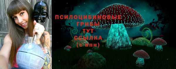 метадон Зеленокумск
